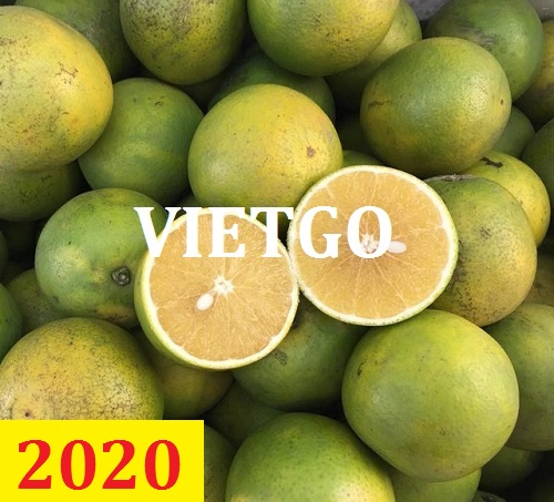 Cơ hội giao thương – Đơn hàng Cả Năm - Cơ hội xuất khẩu Cam Tươi sang thị trường Bangladesh