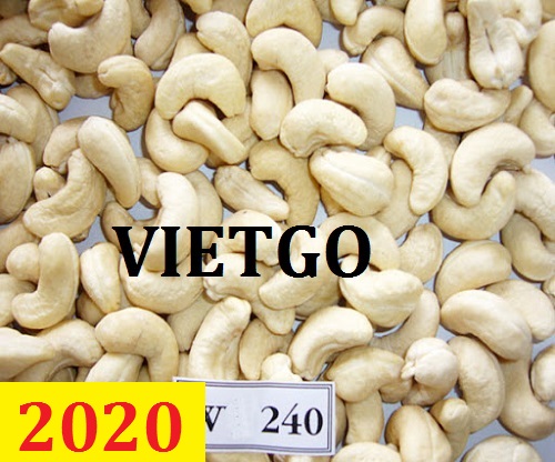 Cơ hội giao thương – Đơn hàng Cả Năm - Cơ hội xuất khẩu Hạt Điều Rang sang thị trường Nam Phi