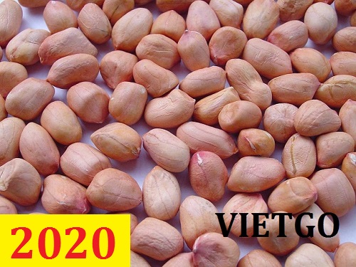 Cơ hội giao thương – Đơn hàng thường xuyên - Cơ hội xuất khẩu 500 MT hạt lạc tách vỏ sang thị trường Trung Quốc.