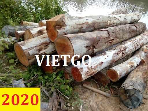 Cơ hội giao thương  - Đơn hàng thường xuyên - Cơ hội xuất khẩu Gỗ bạch đàn tròn sang thị trường Ấn Độ