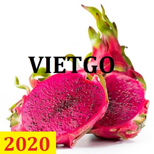 Cơ hội giao thương – Đơn hàng Thường Xuyên - Cơ hội xuất khẩu Thanh Long sang thị trường Ấn Độ