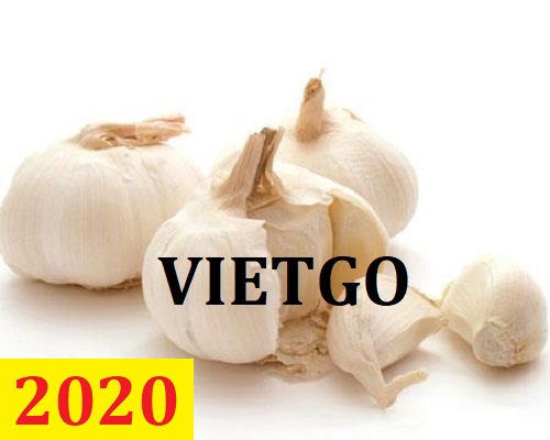 Cơ hội giao thương – Đơn hàng Thường Xuyên - Cơ hội xuất khẩu Tỏi Trắng sang thị trường Ấn Độ