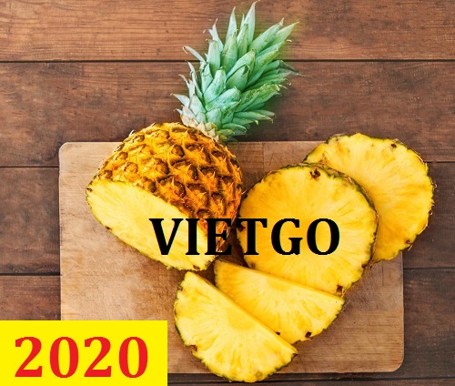 Cơ hội giao thương – Đơn hàng Thường Xuyên - Cơ hội xuất khẩu Quả Dứa sang thị trường Ấn Độ