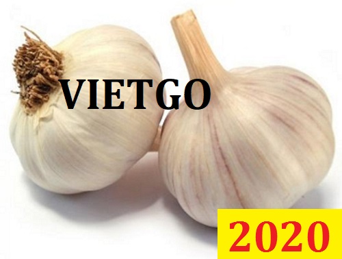 Cơ hội giao thương Đặc Biệt  – Đơn hàng Đặc biệt thường xuyên - Cơ hội xuất khẩu Tỏi trắng sang thị trường Sri Lanka
