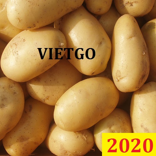 Cơ hội giao thương Đặc Biệt  – Đơn hàng Đặc biệt thường xuyên - Cơ hội xuất khẩu Khoai Tây sang thị trường Sri Lanka