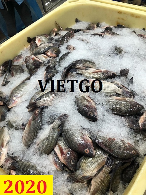 VIETGO đã nhận được thông tin đơn hàng của ông Kathoni là vị khách hàng đến từ Cộng hòa dân chủ Congo.
