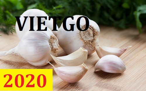 Cơ hội giao thương – Đơn hàng Thường xuyên - Cơ hội xuất khẩu Tỏi Trắng sang thị trường Đài Loan