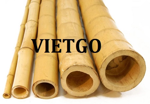 Cơ hội giao thương – Cơ hội cung cấp gậy tre cho một dự án xây dựng lớn tại quốc gia Mexico