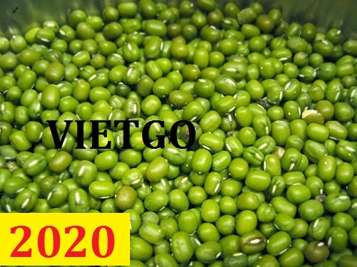 Cơ hội giao thương – Đơn hàng Thường Xuyên - Cơ hội xuất khẩu Đậu Xanh sang thị trường Trung Quốc