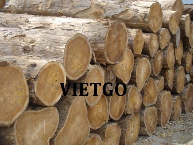 Cơ Hội Giao Thương - Đơn Hàng Thường Xuyên – Cơ Hội Xuất Khẩu Gỗ Teak Tròn Sang Thị Trường Ấn Độ.