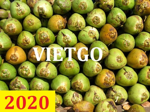 Cơ hội giao thương – Đơn hàng Thường Xuyên - Cơ hội xuất khẩu Quả Dừa sang thị trường Oman