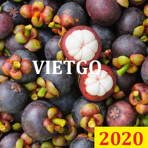 Cơ hội giao thương Đặc Biệt – Đơn hàng Thường Xuyên - Cơ hội xuất khẩu Măng Cụt sang thị trường UAE