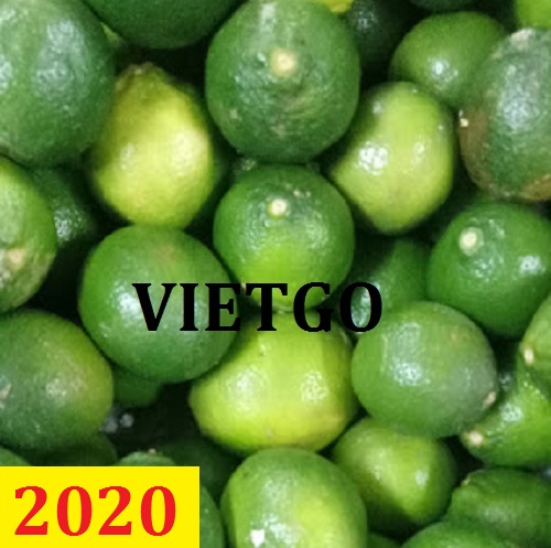 Cơ hội giao thương – Đơn hàng thường xuyên - Cơ hội cung cấp Chanh Xanh cho một doanh nghiệp tại Dubai