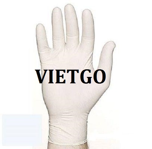 Cơ hội giao thương – Cơ hội xuất khẩu Găng tay y tế đến từ vị thương nhân người Ấn Độ