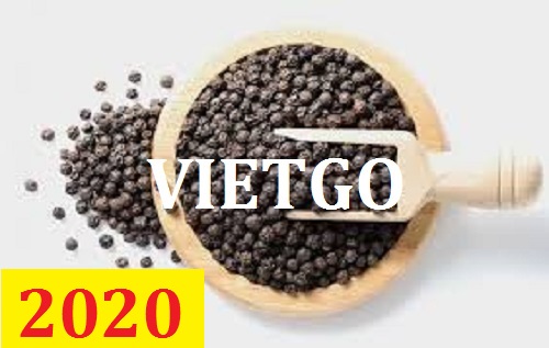 Cơ hội giao thương – Đơn hàng thường xuyên - Cơ hội xuất khẩu tiêu đen sang thị trường Ấn Độ.