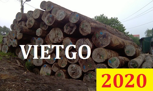 Cơ hội giao thương đặc biệt – Đơn hàng thường xuyên - Cơ hội xuất khẩu Gỗ dầu tròn sang Bangladesh