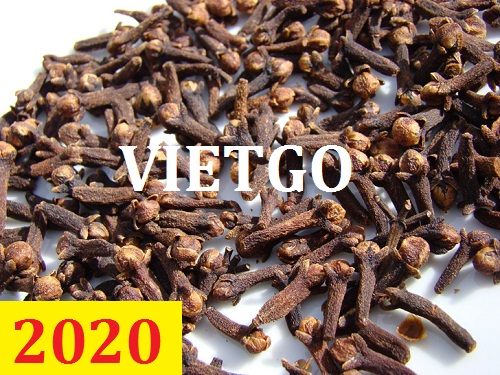 Cơ hội giao thương – Đơn hàng Thường Xuyên - Cơ hội xuất khẩu Đinh Hương sang thị trường Ấn Độ