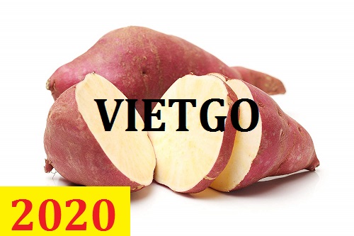 Cơ hội giao thương – Đơn hàng Thường Xuyên - Cơ hội xuất khẩu Khoai Lang Lát Sấy Khô sang thị trường Mỹ