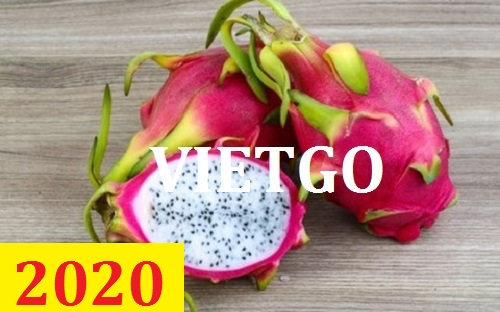 Cơ hội giao thương – Đơn hàng thường xuyên - Cơ hội xuất khẩu thanh long đến thị trường Ấn Độ.