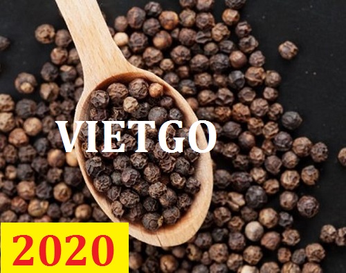 Cơ hội giao thương – Đơn hàng thường xuyên – Cơ hội xuất khẩu tiêu đen sang thị trường Bangladesh