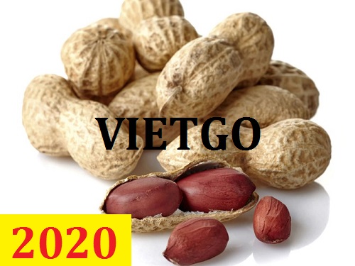 Cơ hội giao thương – Đơn hàng Thường Xuyên - Cơ hội xuất khẩu Lạc Nhân sang thị trường UAE