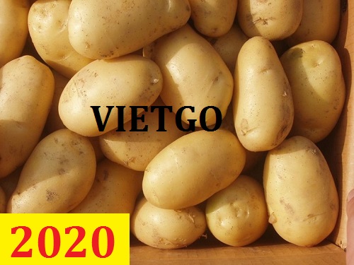 Cơ hội giao thương – Đơn hàng Thường Xuyên - Cơ hội xuất khẩu Khoai Tây sang thị trường Pakistan