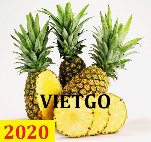 Cơ hội giao thương – Đơn hàng Thường Xuyên - Cơ hội xuất khẩu Quả Dứa sang thị trường Oman