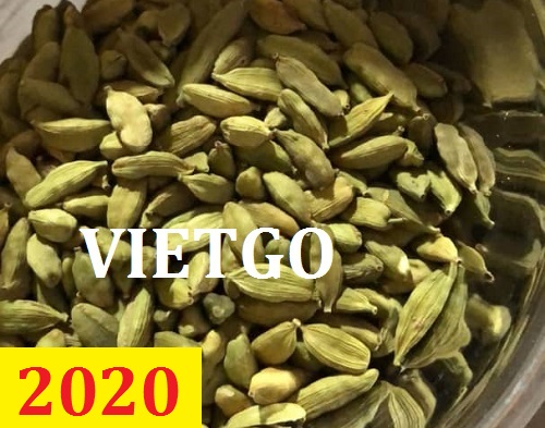 Cơ hội giao thương – Đơn hàng thường xuyên – Cơ hội xuất khẩu Thảo quả sang thị trường Bangladesh