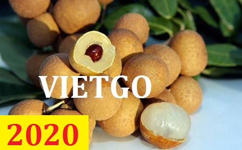 Cơ hội giao thương – Đơn hàng Thường Xuyên - Cơ hội xuất khẩu Nhãn sang thị trường Malaysia