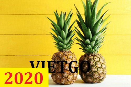 Cơ hội giao thương – Đơn hàng Thường Xuyên - Cơ hội xuất khẩu Quả Dứa sang thị trường UAE