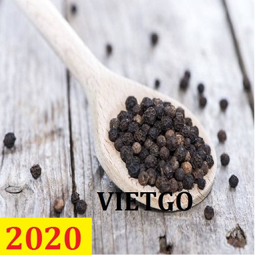 Cơ hội giao thương – Đơn hàng Thường Xuyên - Cơ hội xuất khẩu Tiêu Đen sang thị trường Ấn Độ