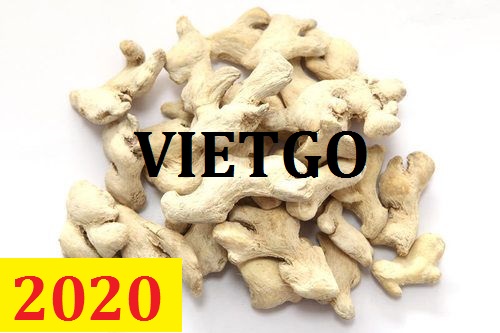 Cơ hội giao thương – Đơn hàng Thường Xuyên - Cơ hội xuất khẩu Gừng Khô sang thị trường Ấn Độ