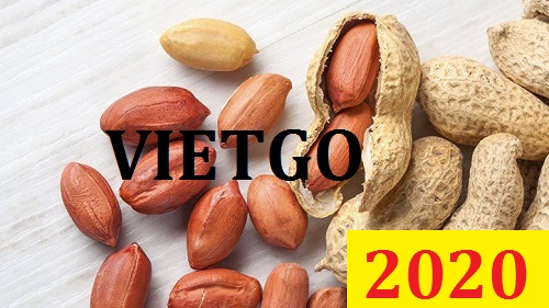 Cơ hội giao thương Đặc Biệt  – Đơn hàng Thường Xuyên - Cơ hội xuất khẩu Lạc Nhân sang thị trường Ấn Độ