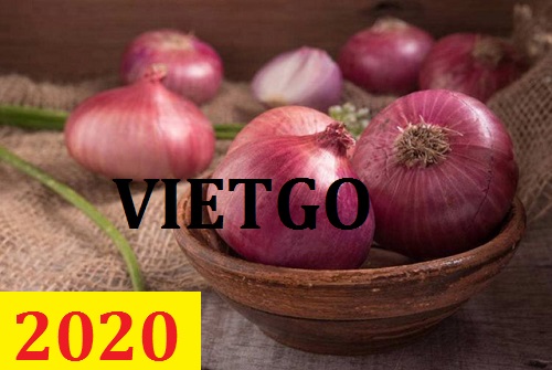 Cơ hội giao thương – Đơn hàng thường xuyên – Cơ hội xuất khẩu Hành Tím từ Việt Nam sang thị trường Nam Phi.