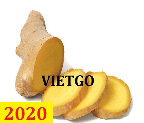 Cơ hội giao thương – Đơn hàng Cả Năm - Cơ hội xuất khẩu Gừng tươi sang thị trường Bangladesh