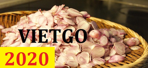 Cơ hội giao thương – Đơn hàng Thường Xuyên - Cơ hội xuất khẩu Hành Lát Khô sang thị trường Singapore