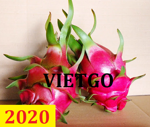 Cơ hội giao thương – Đơn hàng Thường Xuyên - Cơ hội xuất khẩu Thanh Long sang thị trường Trung Quốc