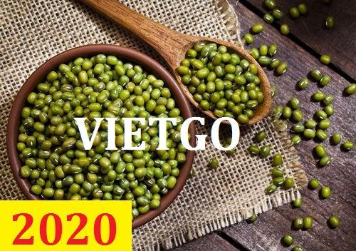 ( Gấp ) Cơ hội giao thương – Đơn hàng Thường Xuyên - Cơ hội xuất khẩu Đậu Xanh sang thị trường Trung Quốc