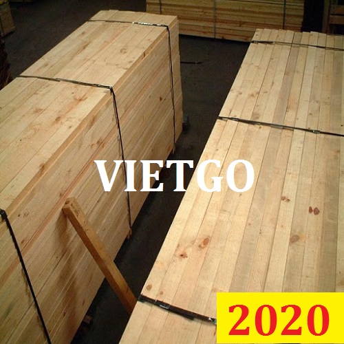 Cơ hội giao thương đặc biệt: Đơn hàng thường xuyên: Cơ hội xuất khẩu Gỗ thông xẻ sang thị trường Sudan
