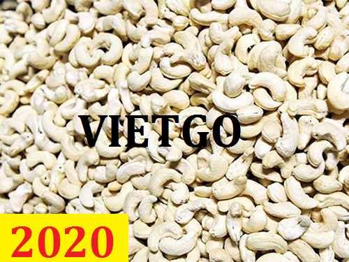 Cơ hội giao thương – Đơn hàng thường xuyên – Cơ hội xuất khẩu hạt điều sang thị trường Trung Quốc.