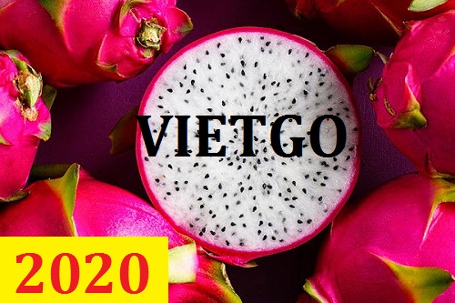 Cơ hội giao thương – Đơn hàng Thường Xuyên - Cơ hội xuất khẩu Thanh Long sang thị trường Ấn Độ