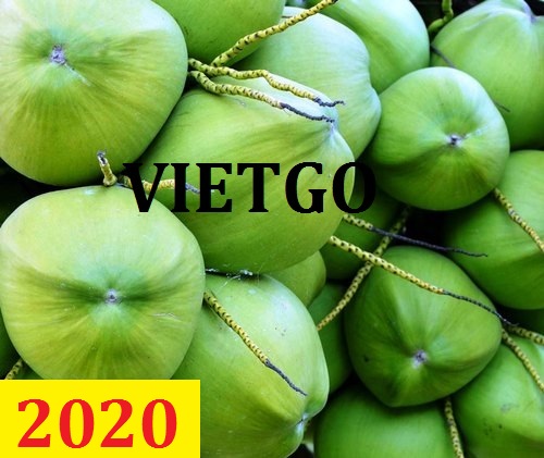 Cơ hội giao thương – Đơn hàng Thường Xuyên - Cơ hội xuất khẩu Dừa Tươi sang thị trường Ấn Độ