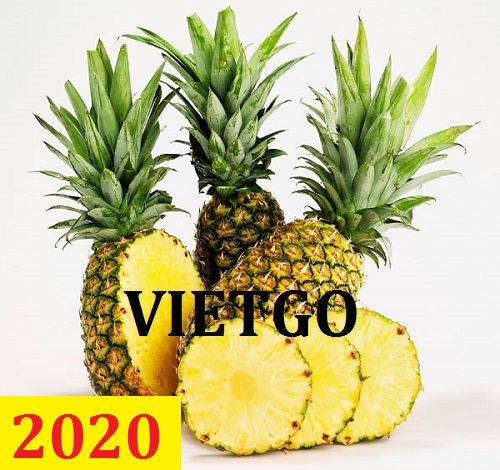 Cơ hội giao thương – Đơn hàng Thường Xuyên - Cơ hội xuất khẩu Quả Dứa sang thị trường Ấn Độ