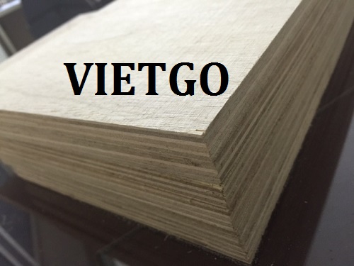 Cơ hội giao thương đặc biệt: Cơ hội xuất khẩu Gỗ dán sang thị trường Ấn Độ