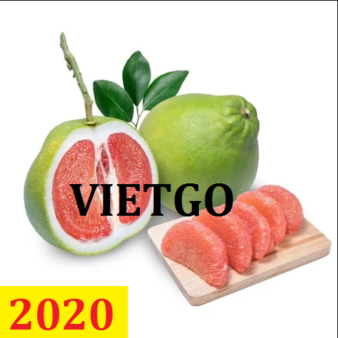 Cơ hội giao thương – Đơn hàng Thường Xuyên - Cơ hội xuất khẩu Quả Bưởi sang thị trường Ấn Độ