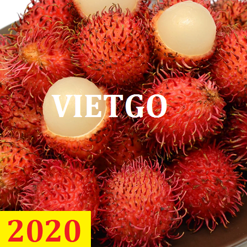 Cơ hội giao thương – Đơn hàng Thường Xuyên - Cơ hội xuất khẩu Chôm Chôm sang thị trường Ấn Độ