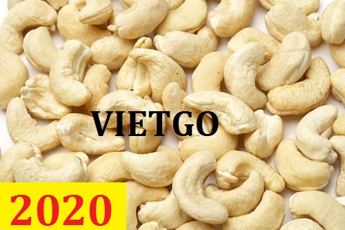 Cơ hội giao thương – Đơn hàng thường xuyên – Cơ hội xuất khẩu hạt điều sang thị trường Ấn Độ.