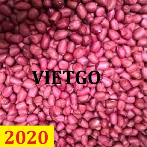 Cơ hội giao thương – Đơn hàng thường xuyên - Cơ hội xuất khẩu Lạc nhân sang thị trường Kenya