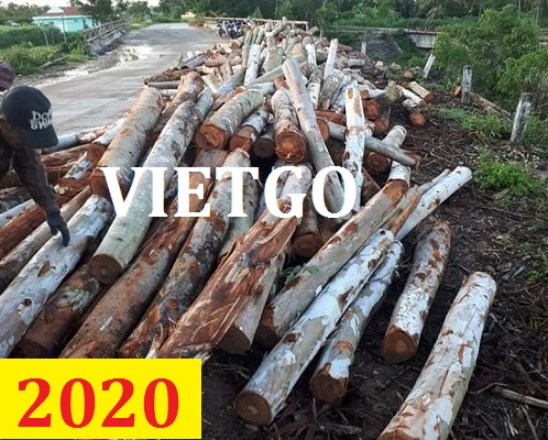 Cơ hội giao thương – Đơn hàng thường xuyên - Cơ hội xuất khẩu Gỗ bạch đàn tròn sang Ấn Độ