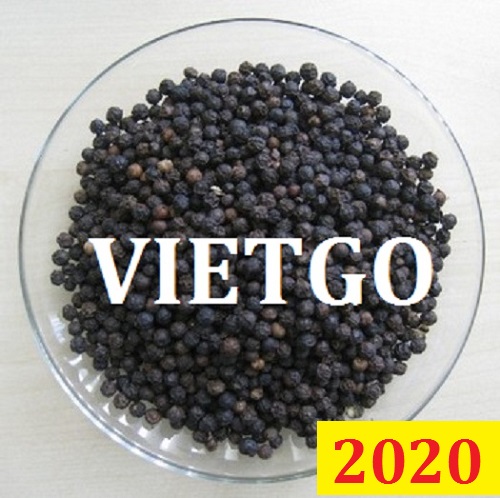 Cơ hội giao thương – Đơn hàng Đặc biệt Thường xuyên - Cơ hội xuất khẩu Tiêu đen sang thị trường Pakistan.